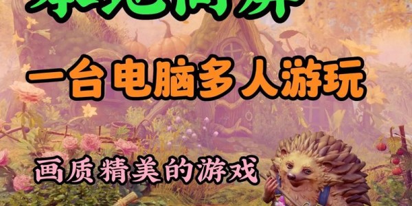 双人同屏，共闯地下城私服的奇妙冒险