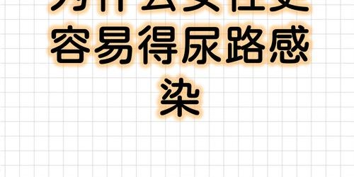 探索未来，人工智能在教育领域的应用与挑战