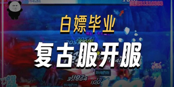 DNF私服免门票辅助指南，轻松畅玩无需付费